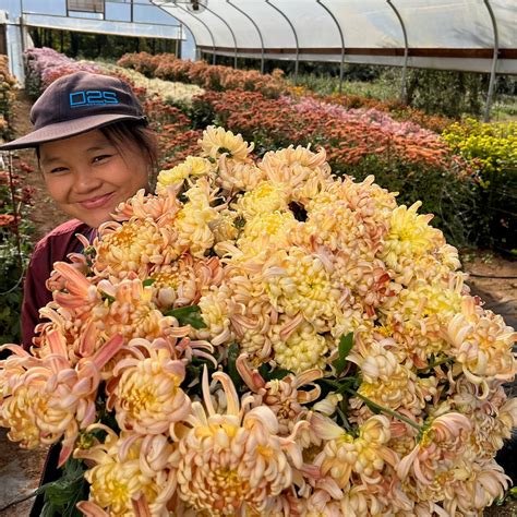 River City Mum – 3 Porch Farm