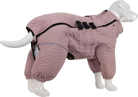 Dogs With Two Layers Of Fur at Jo Diggs blog