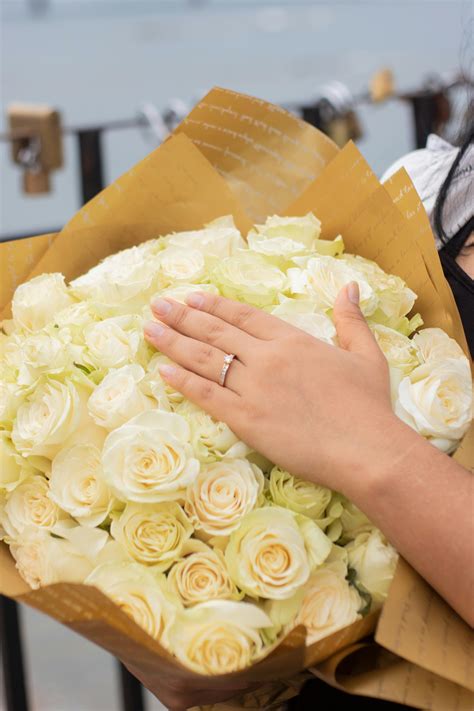 Ring Of Roses Photos, Download The BEST Free Ring Of Roses Stock Photos ...