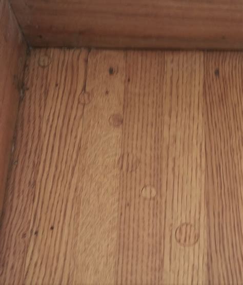 Fix medium to large holes without replacing the whole floor board | The ...