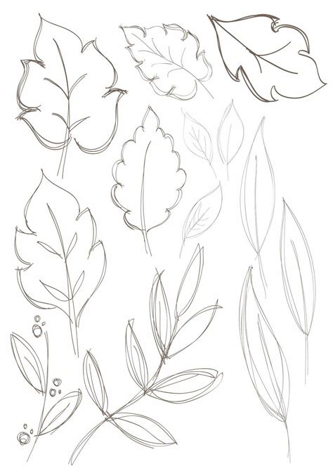 30+ Simple Leaf Drawing Ideas - How To Draw Leaf? - HARUNMUDAK