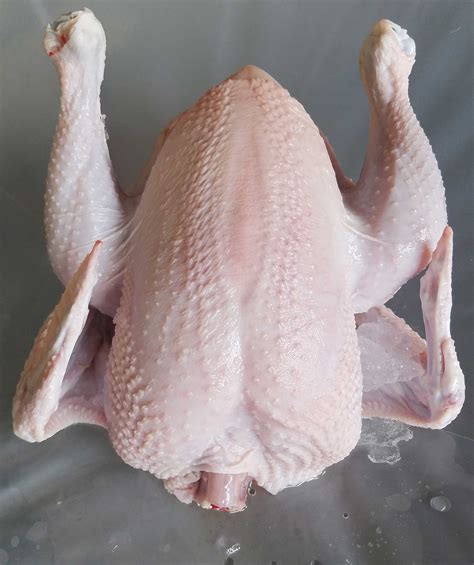 Cornish Cross Chicken