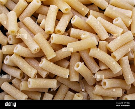 Types Of Pasta Macaroni at Justin Conway blog