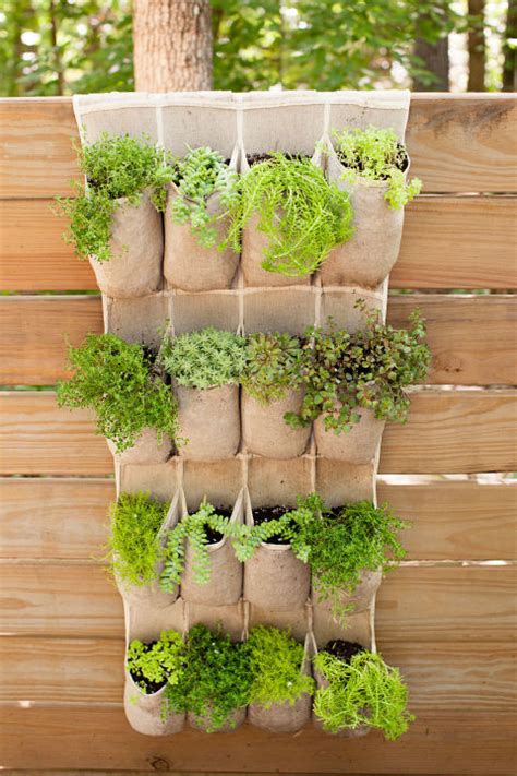 herb growing ideas
