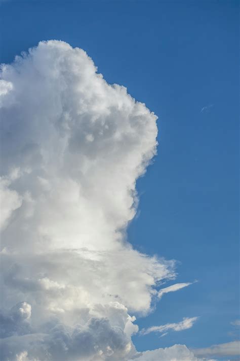 Mom+Big+Boobs Photos, Download The BEST Free Mom+Big+Boobs Stock Photos ...