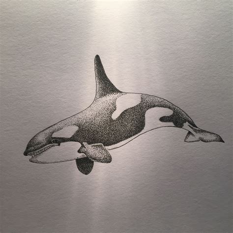 Stippling art of an orca whale