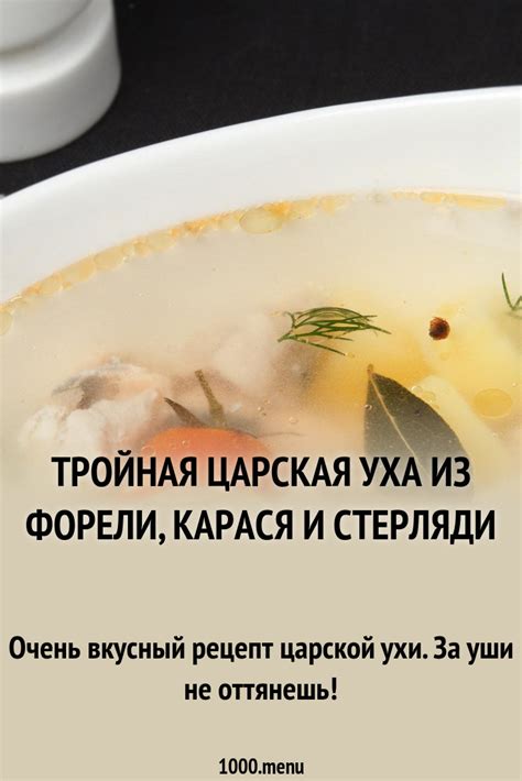 Тройная царская уха из форели, карася и стерляди рецепт с фото - 1000.menu