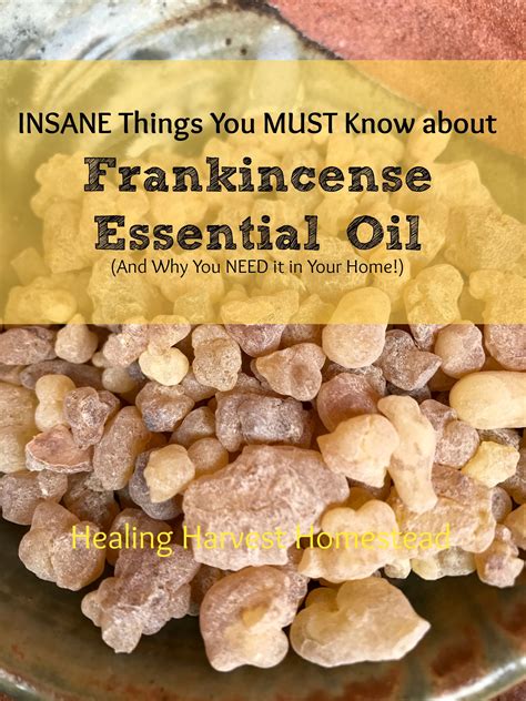 The complete guide to using frankincense essential oil benefits uses ...