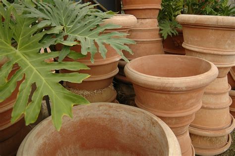 Large Terracotta Planter Pots Very Large Terracotta Planter