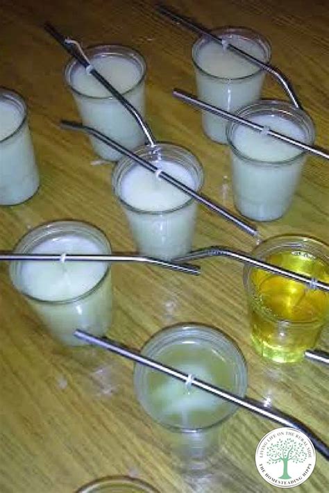 How to Make Tallow Candles