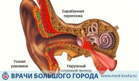 Операция по удалению рака уха в Москве: цены и стоимость, прогноз