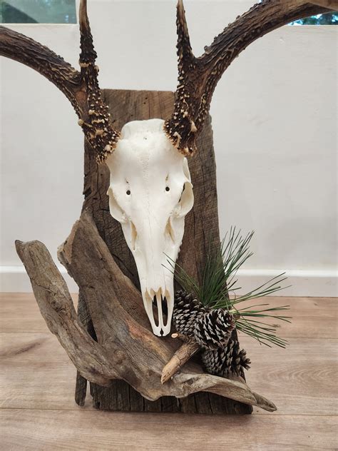 Rustic Deer Skull Mounts Deer Mount Plaque – Pine Level Rustics