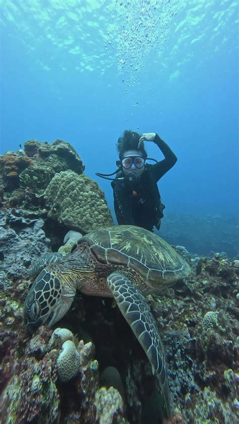 Women+Peeing+On+The+Floor Videos, Download The BEST Free 4k Stock Video ...