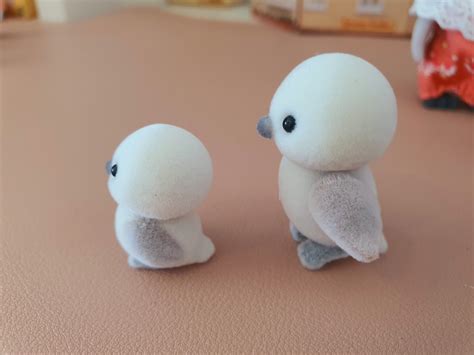 Family Pics With Newborn