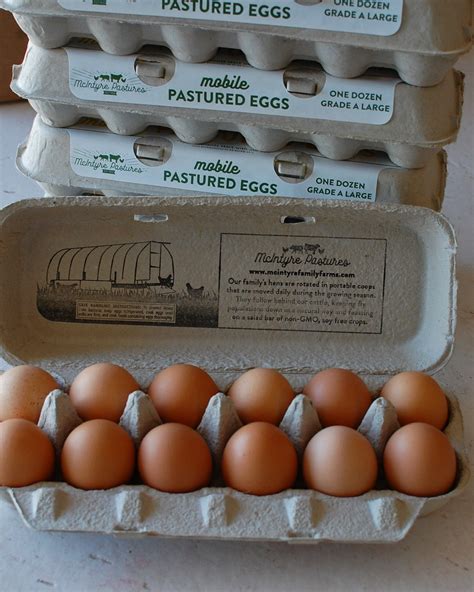 Pastured Egg Bundle: 5 dozen - McIntyre Pastures