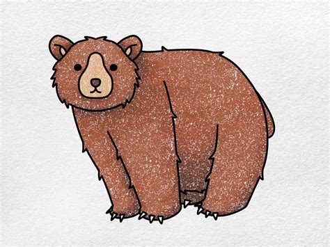 Brown Bear Drawing Easy How To Draw A Bear Face Tutorial And Bear