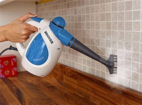 Which Steam Cleaner Is The Best | Storables