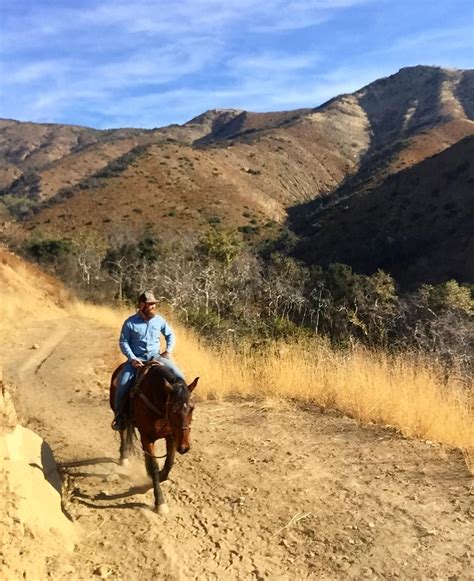 Circle Bar B Stables