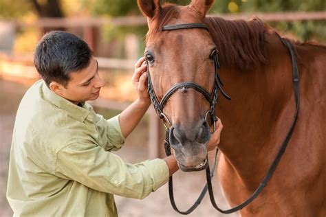 Equine Therapy for Addiction - Discovery Institute - NJ