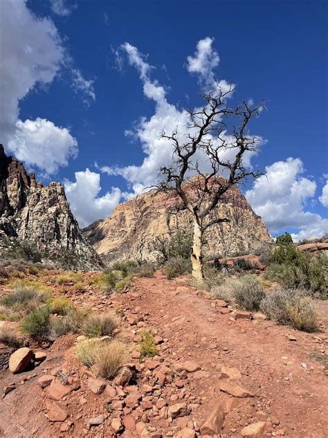 TW Pornstars - Maya Sinstress. Twitter. I don't give out My number to clients often. When I do ...