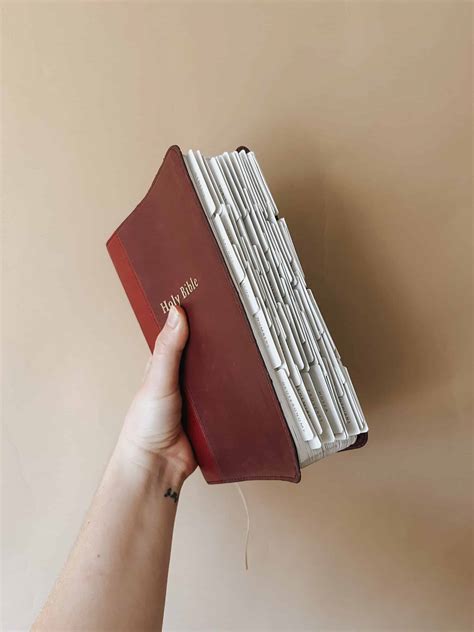 Blessed Is She Bible Tabs (Tan & Maroon) – New Day Distributors