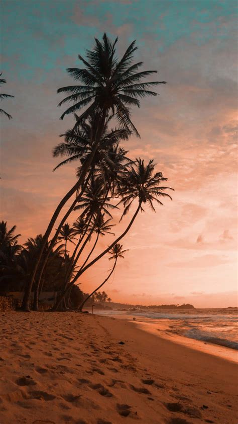 What are Aesthetics in Design? - otemoto