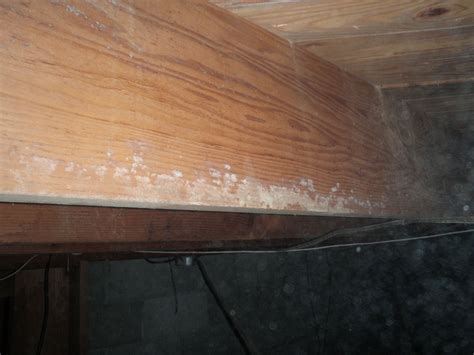 How To Remove Black Mold From Wood In Crawl Space at Erin Patteson blog