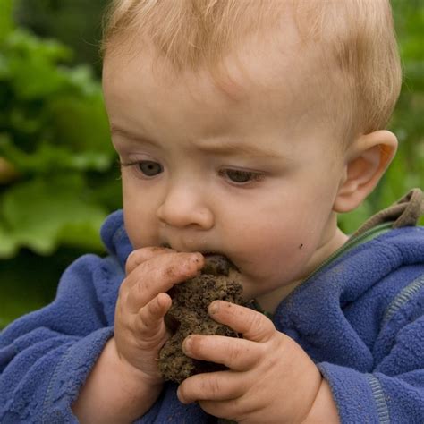 Eating Dirt Addiction