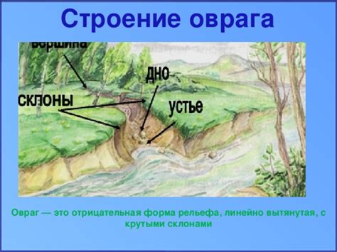 Овраги и овражки