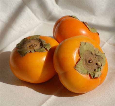 Fruit Kaki Calories at Matthew Smith blog