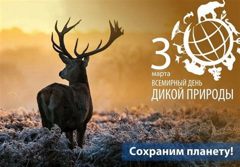 Картинки со Всемирным днем дикой природы (30 открыток): скачать бесплатно
