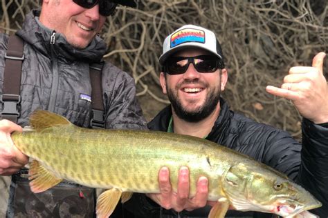 Guided Musky Fishing Trips | Davidson River Outfitters