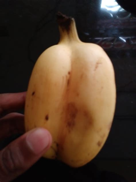 Found a conjoined banana in Sri Lanka : r/mildlyinteresting