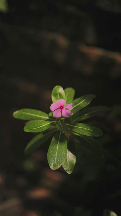 Xxxxxxxxxxxx+Sexy+Video+Indian+Girls. Videos, Download The BEST Free 4k ...