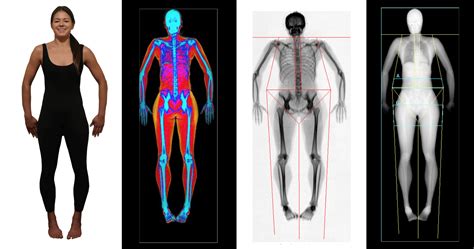 How a DEXA Body Fat, Muscle, and Bone Scan Can Help You Get Fit