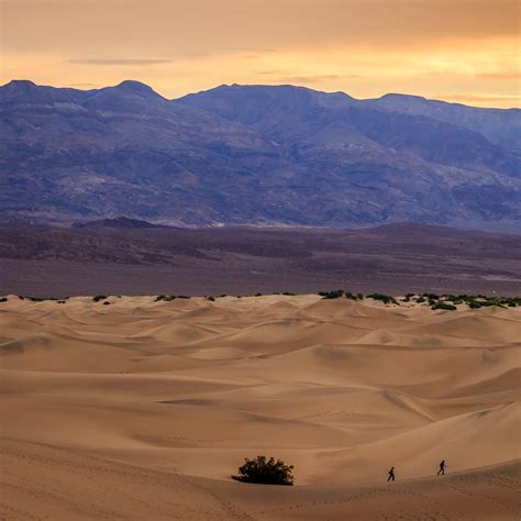 Texas Springs Campground Camping | The Dyrt