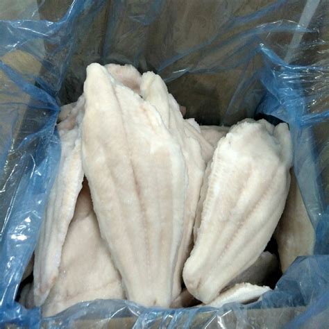 Frozen channel catfish fillets - Ictalurus Punctatus (China ...