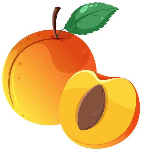Peach Leaf Clipart