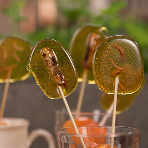 Bug Lollipops | Tastemade