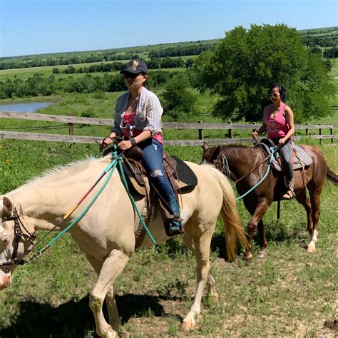 TRAIL RIDES - Maverick Horseback Riding