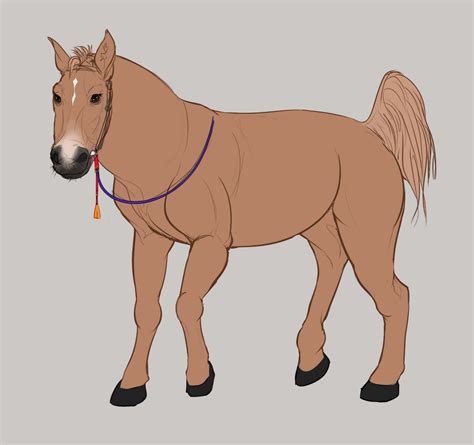 Its a horse a piece by Sukkol on DeviantArt