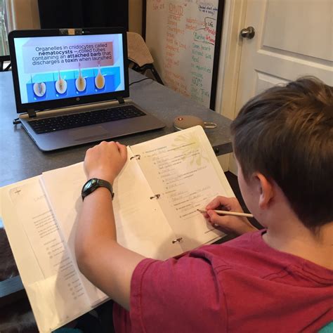 Online Christian Homeschool Science Curriculum & Video Courses ...