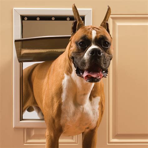 12 Practical Doggy Doors for Large Dogs (up to 220 lbs) - Hey, Djangles.
