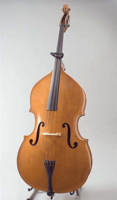 Double Bass Family Of Instruments at Caitlyn Lavater blog
