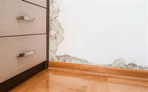 Ideal Humidity Level of Your Indoor Home for Health and Comfort