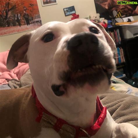 Megan Bitchell | Gethu Cinema