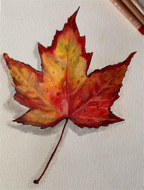 Pin by Janie Hayes on Watercolor | Fall leaves drawing, Autumn leaves ...
