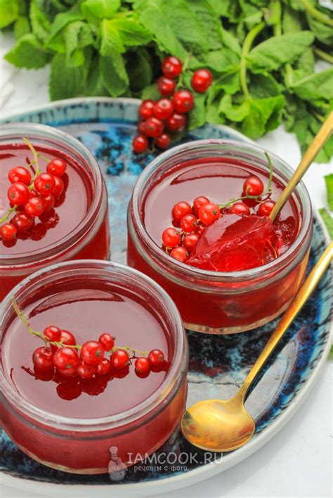 Желе из красной смородины с желатином — рецепт с фото пошагово