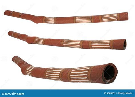 Australian Wood Instrument at Jacqueline Sadler blog