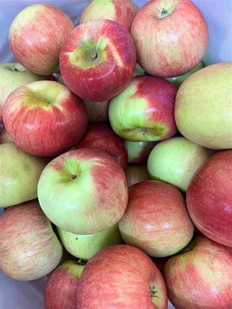 PATTERSON’S ORCHARD - New Berlin WI - Hours, Directions, Reviews ...